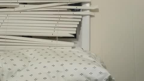 JD online show from December 4, 6:11 am