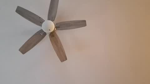 Snapshot of patrick247288 chatting on January 12, 9:40 pm patrick247288 online show from January 12, 9:40 pm