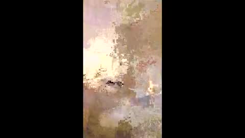 patrickalan2 online show from December 14, 2:51 am