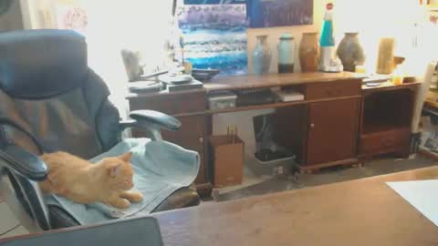 Snapshot of paulleroy chatting on January 26, 1:41 am paulleroy online show from January 26, 1:41 am