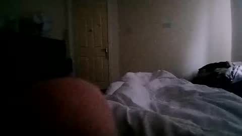 Paw online show from December 10, 9:01 am