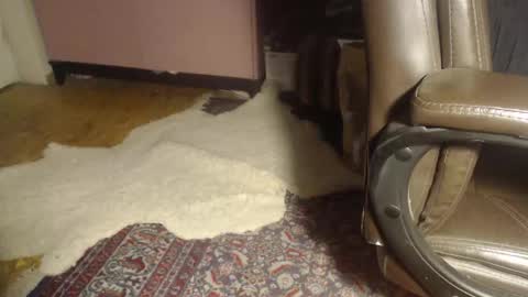 Alpha Master Cock online show from March 20, 2:37 am