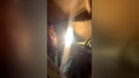 peelartin online show from February 14, 3:56 am