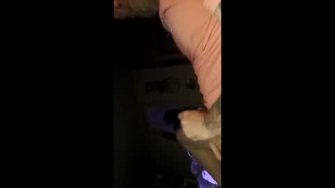 pelion55 online show from March 15, 5:15 am