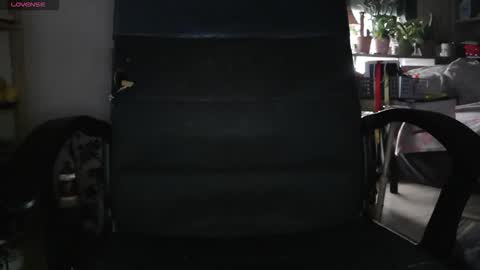 peregrintpelfox online show from February 4, 9:04 am