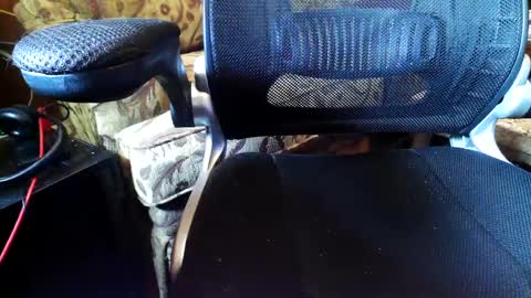 perfecto337 online show from September 11, 9:03 pm