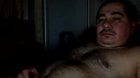 perro2010joshua online show from January 8, 12:28 am