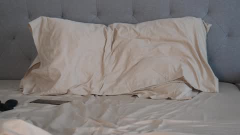 Peter Parker online show from January 12, 2:19 pm