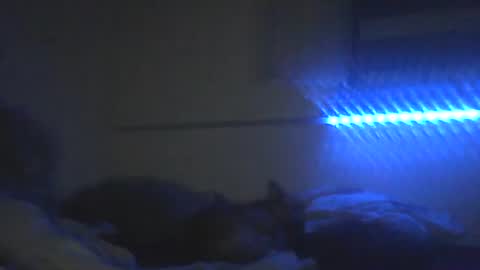 Pitsches online show from February 10, 3:11 am