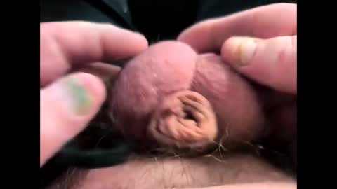 petrol63102 online show from March 7, 5:22 pm