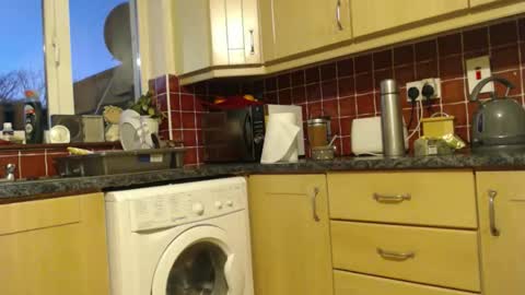 piercedcock069 online show from January 13, 5:28 pm