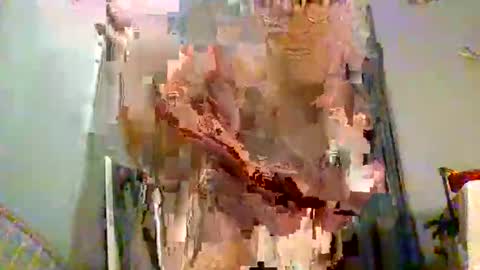 piratefuckinradioshow online show from April 24, 9:11 am