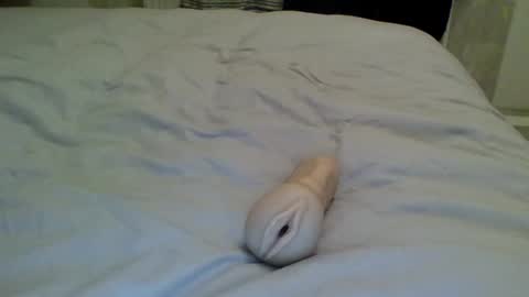 Snapshot of poomplex002 chatting on January 2, 5:29 pm TheMan002 online show from January 2, 5:29 pm