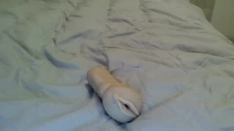 Snapshot of poomplex002 chatting on January 4, 5:47 pm TheMan002 online show from January 4, 5:47 pm