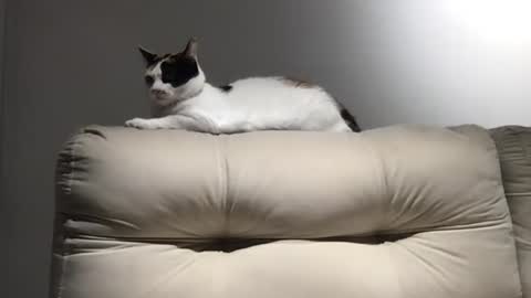 poormanbr online show from November 9, 10:25 pm