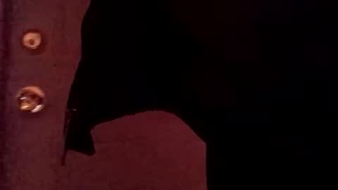 PipeLayerPlayer007 online show from April 4, 11:35 pm