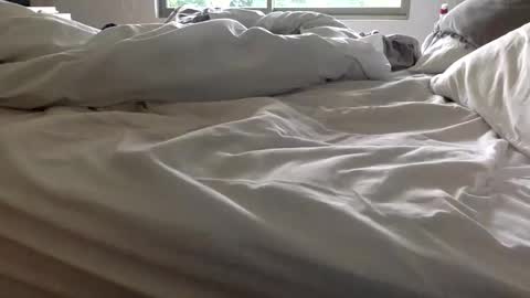 ppsmall_17 online show from November 26, 11:13 am