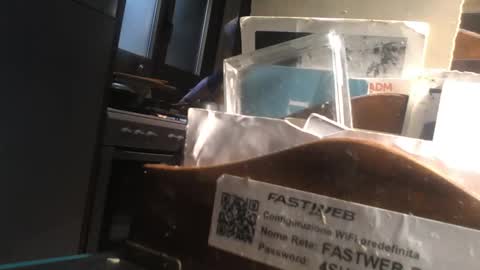 predator19491 online show from April 11, 8:07 am