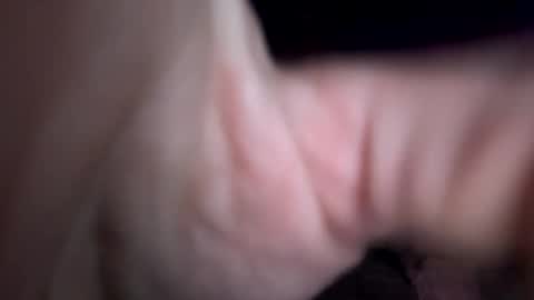 prettycockselfsucker91 online show from November 29, 10:39 am