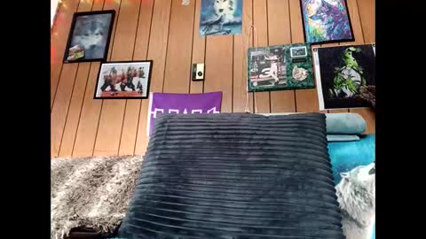 prettysolid7 online show from February 20, 1:57 pm