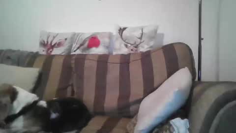 proudwelshman online show from December 29, 10:57 pm