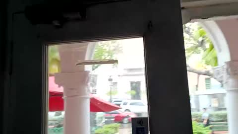 prvive2025 online show from September 22, 7:24 pm