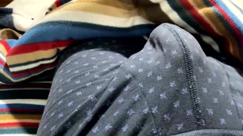 Pulga online show from January 11, 7:34 am