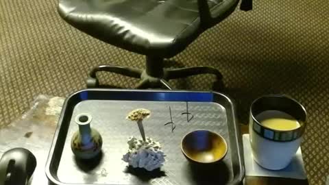 Jojo online show from October 11, 1:09 am