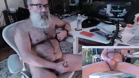 Pup And Papa bear online show from June 24, 2:31 pm