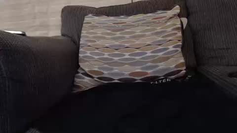 pussyuser online show from April 14, 5:18 am