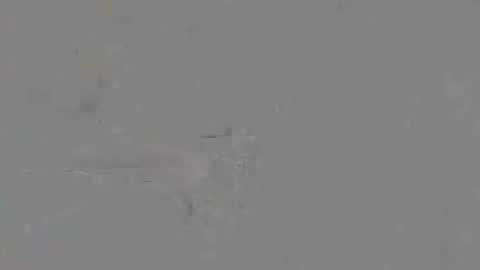 Raff online show from April 30, 7:59 am