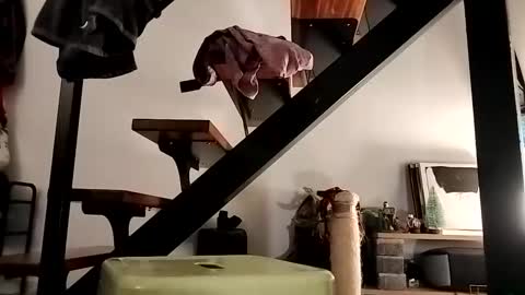 ranchoarg online show from February 23, 9:16 pm