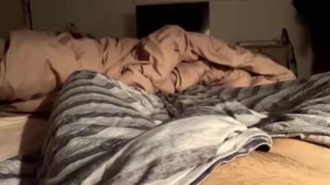 FreeC2C online show from December 18, 4:53 am