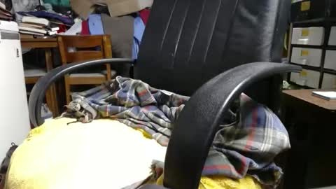 Ray online show from April 18, 12:28 pm