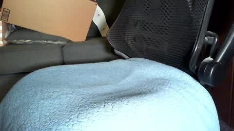 re dick online show from December 28, 3:47 am