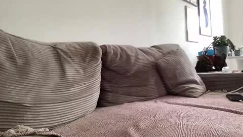 redcucumber online show from March 8, 1:04 pm