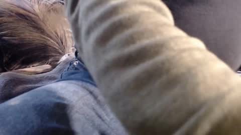 RAYRAY online show from January 13, 6:07 am