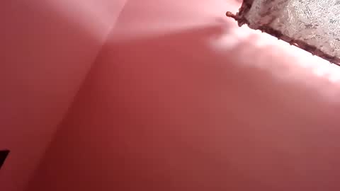 remus60 online show from December 9, 8:55 am