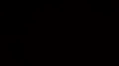 remus60 online show from January 5, 10:50 pm