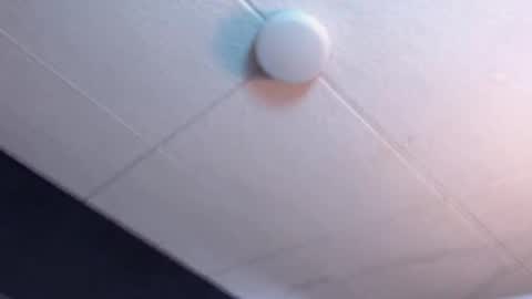 Ricardo online show from January 19, 12:40 pm