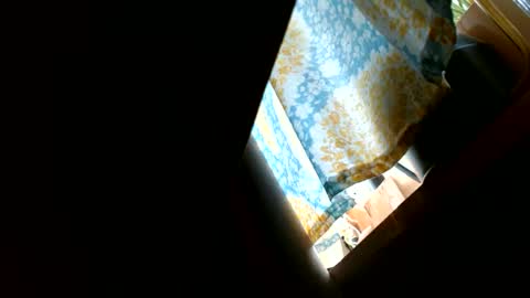 riskyjizznessss online show from December 31, 4:46 pm