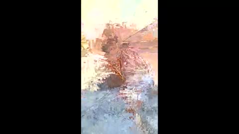 rob18997 online show from February 7, 10:00 am