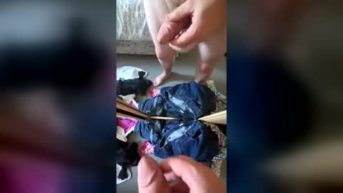 Uk man 87 online show from July 8, 4:44 pm