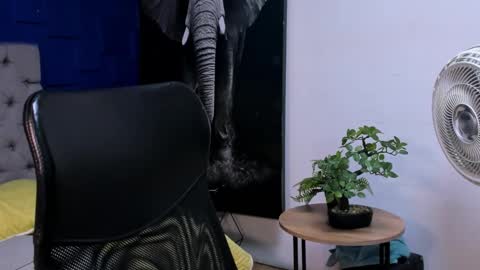 Snapshot of rocco_santos chatting on October 23, 1:42 am rocco_santos online show from October 23, 1:42 am