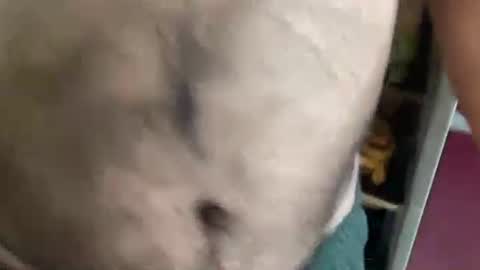 rsex2007 online show from September 24, 6:13 am