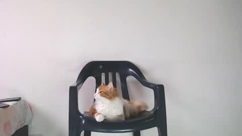 Ryan Palmer online show from February 27, 5:04 pm