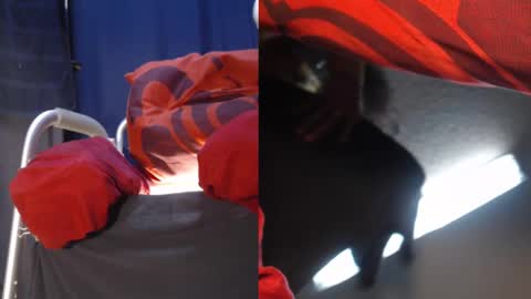 Ryushi009 online show from February 24, 5:11 am