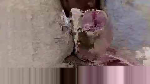 samuelsamuel1234 online show from October 5, 8:29 am