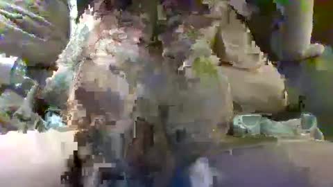 Mr. Sandman online show from September 30, 1:12 am