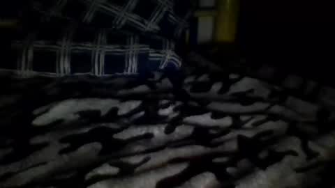 sans_976802 online show from February 22, 6:06 am